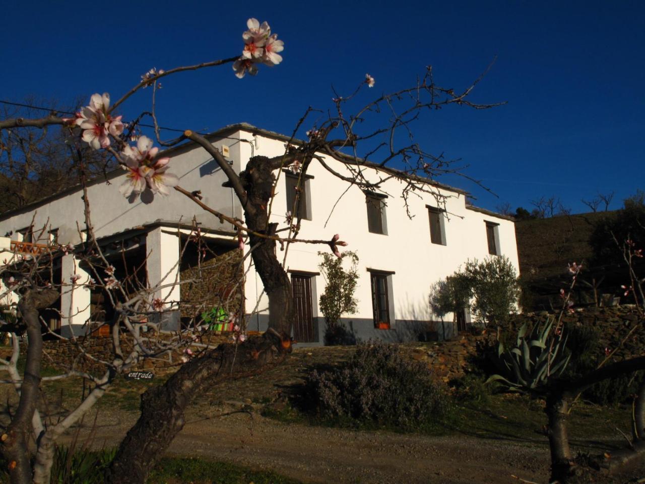 Casa Rural El Paraje De Bérchules Kültér fotó